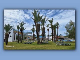 Tunisian 2025 (8).jpg